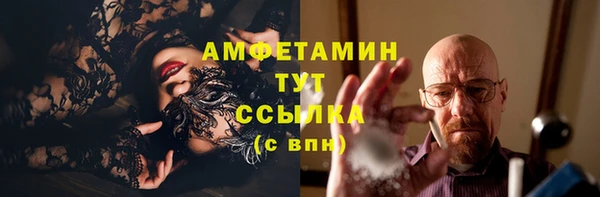 сатива Горно-Алтайск