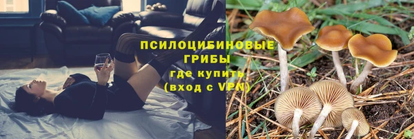 а пвп мука Горняк