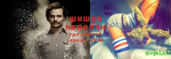 сатива Горно-Алтайск