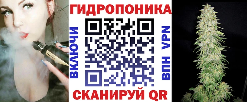 Купить где  Карабаш  Бошки Шишки семена 